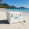Small hard plastic cooler on Hawaiian beach